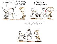 UBAL5